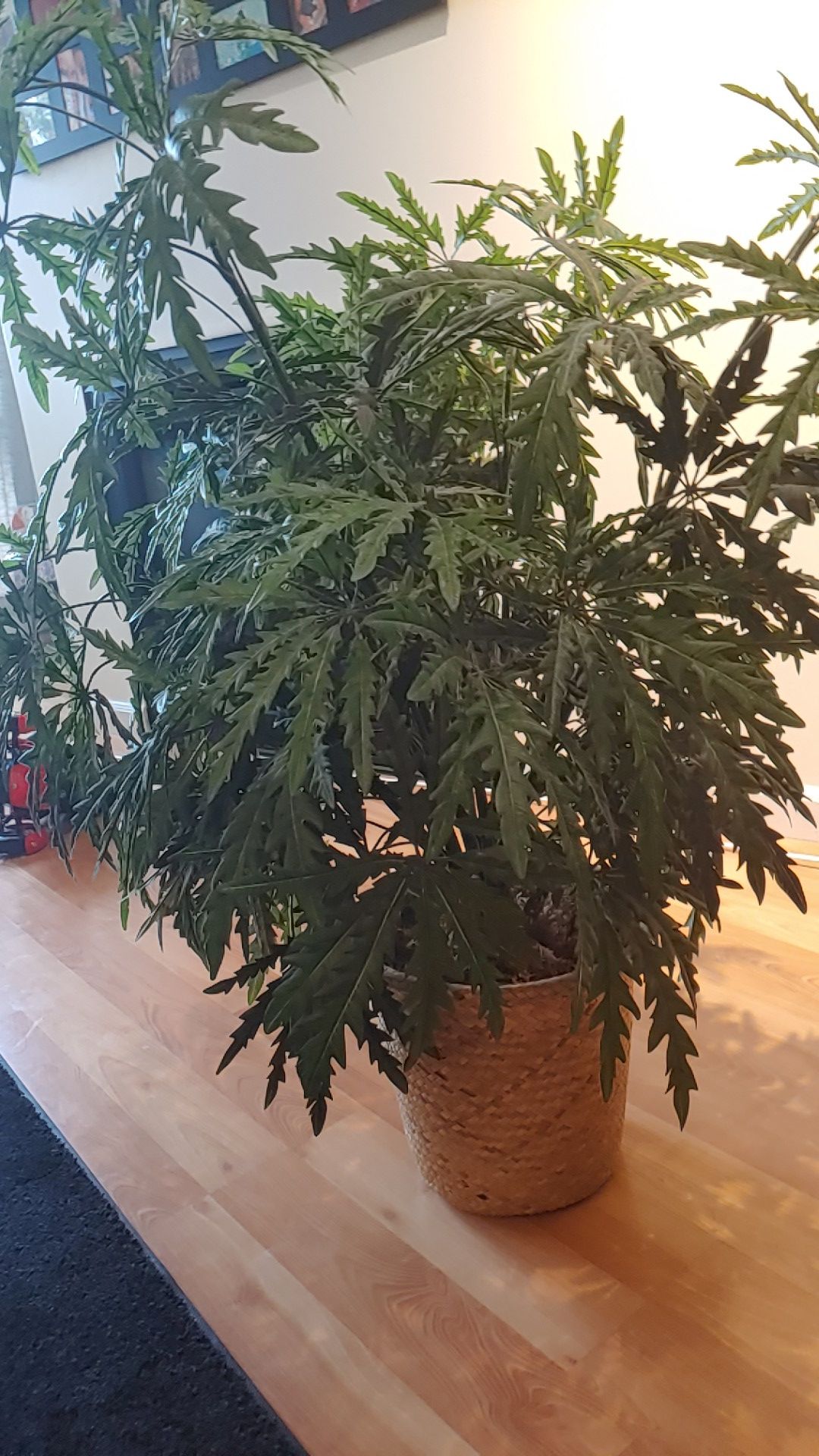 Fake house plant