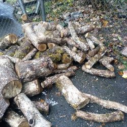 Dry Oak Firewood,Cut 4 Years Ago. 1/4 Cord 