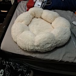 Small Dog Or Cat Bed Brand New