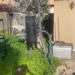 Everlast Boxing Stand With Small Bag