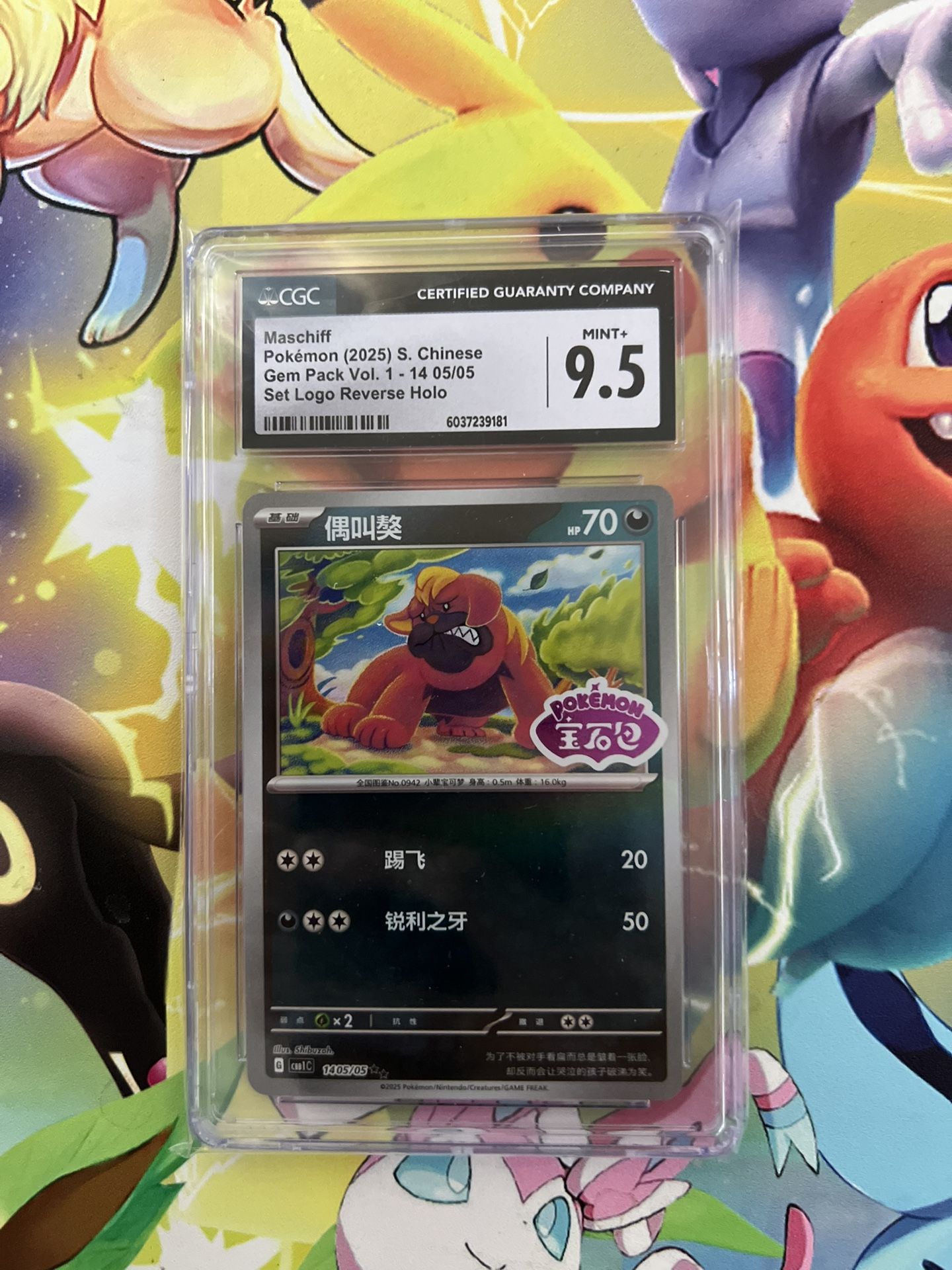 Pokémon Cards