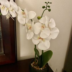 Faux White orchids On A Black Matte Ceramic Pot 