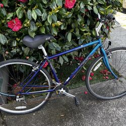 720 Trek MultiTrack
