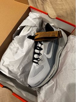 Nike Pegasus 41