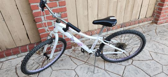 24" mountain bike , Giant brand