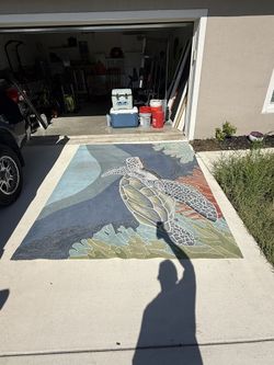 Outside/inside Turtle Rug