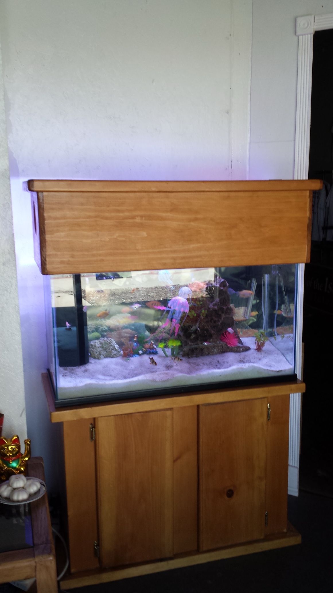 Fish Tank For Sale 