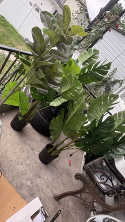 Fake plants