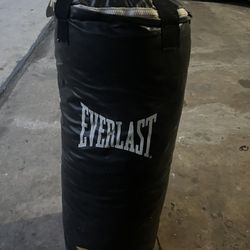 Everlast Heavy Punching Bag 