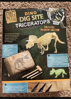 Dino dig site