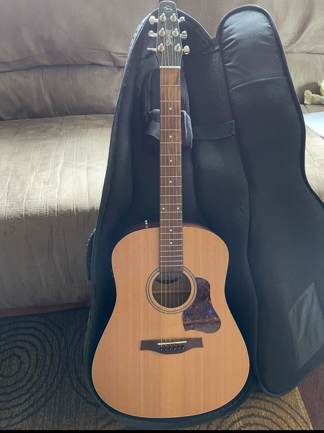 Seagull A6 Electric Acoustic Guitar. Includes gig bag.