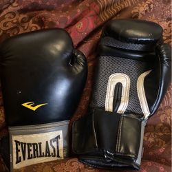 Everlast Boxing Gloves