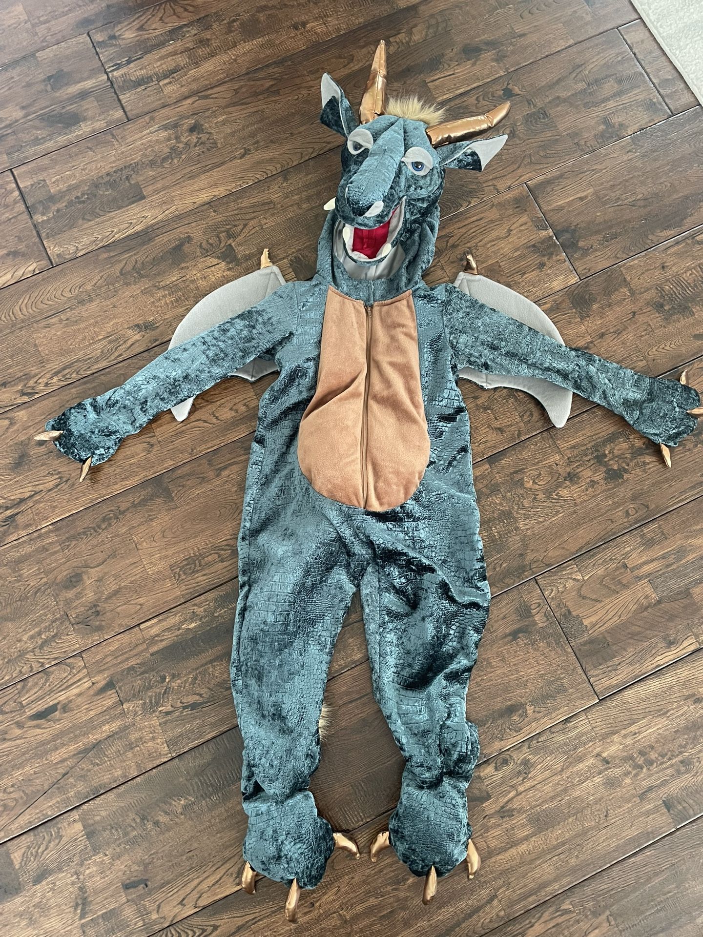 5T Dragon Costume