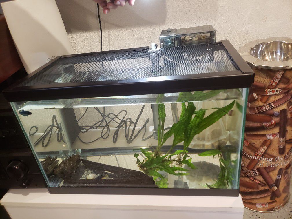 10 gallon aquarium with filter, heater and screen cover.