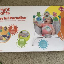 Bright Stars Baby Bouncer