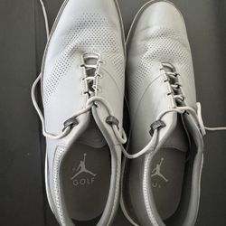 Nike Air Jordan ADG 4 Golf Shoes Wolf Grey Mens 11 