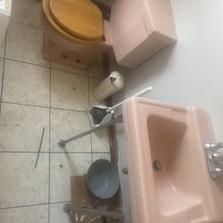 Toilet Sink