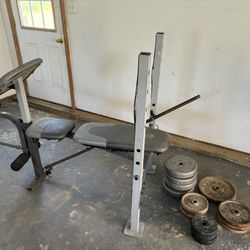 Weight Bench And Weights