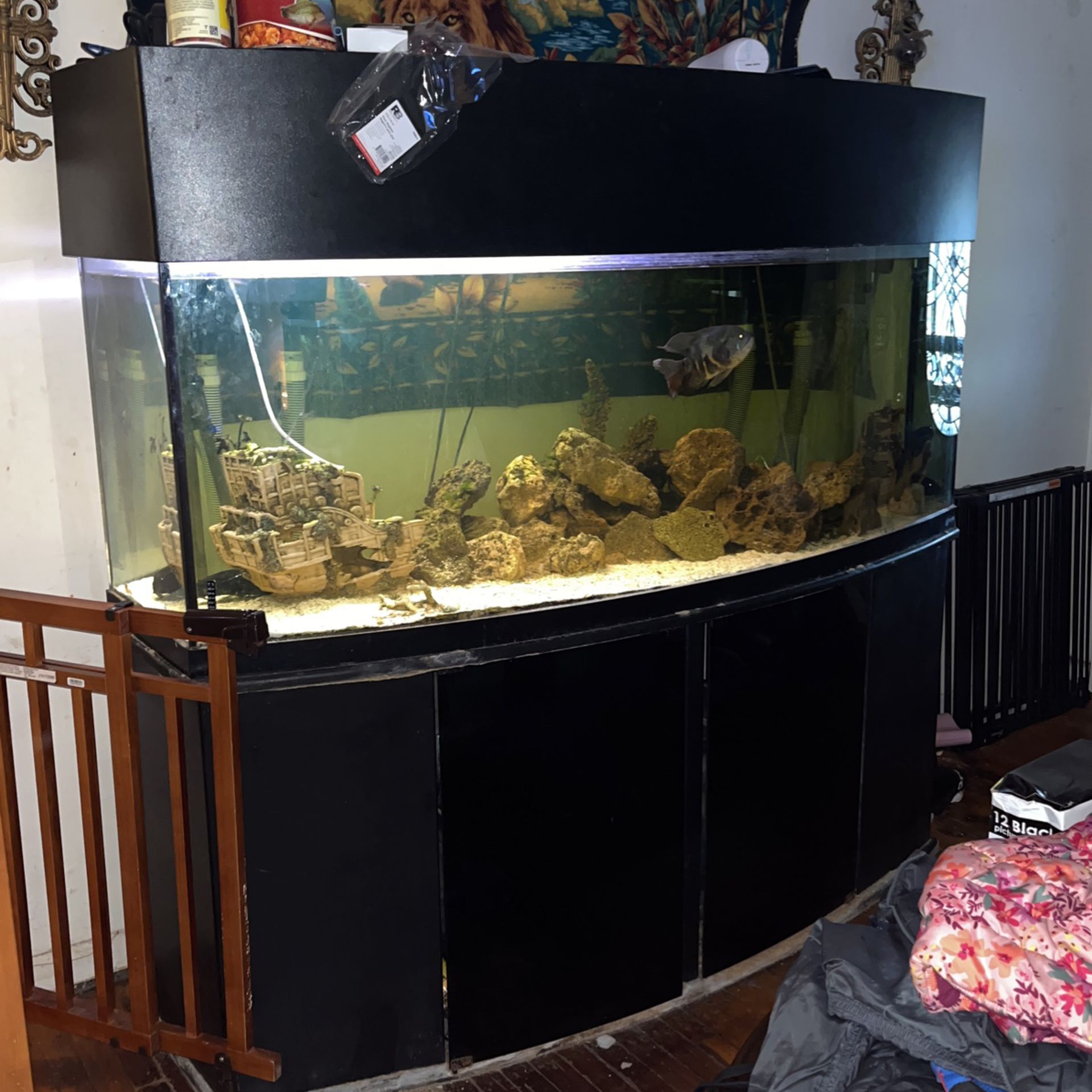 Fish Tank/ Aquarium $1000 OBO 