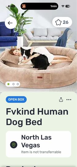 Faking human dog bed