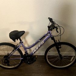 BICYCLE With New Comfy Seat Installed 