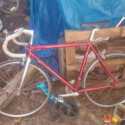 10 Speed Bike