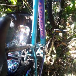 Nishiki 24 Inch Mountain Bike.Almost https://offerup.co/faYXKzQFnY?$deeplink_path=/redirect/ It A Month Ago Brand New For Like 350$ For My EX who Brok