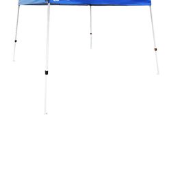 Canopy 10x10