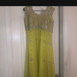indian/pakistani dress