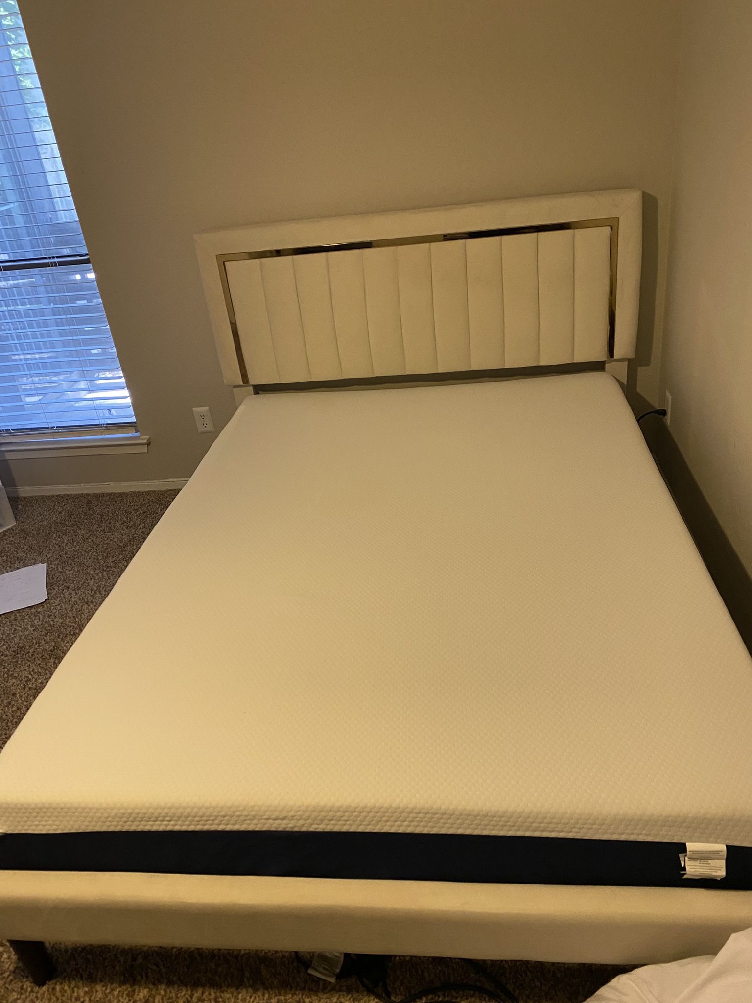 HITHOS Queen Size Bed Frame with Adjustable Tufted Headboard, Velvet Upholstered Platform Bed Frame with Gold Trim, Heavy Duty Mattress Foundation wit