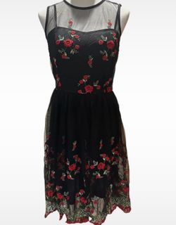 Black mesh Embroidered dress