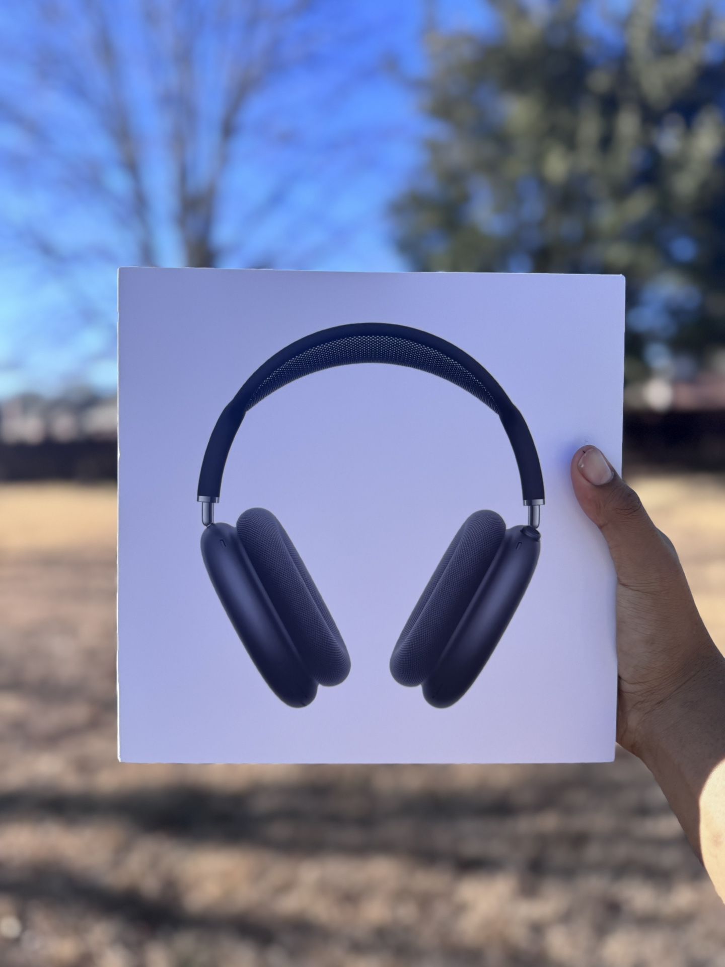 Airpod Maxes