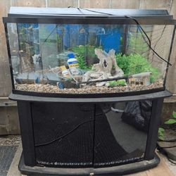 program significant Complete Aquarium Kit – Discover an Underwater World