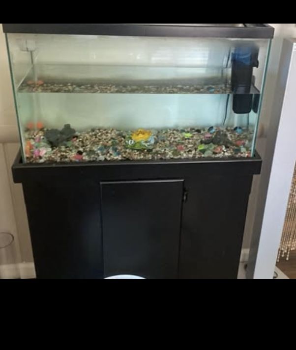 Fish Tank