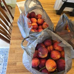 FREE, FREE!   FRESH PICKED NECTARINES!!