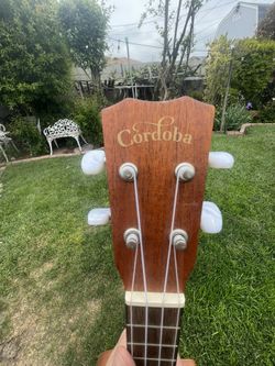 Ukele Guitar