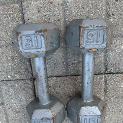 15 Pound Dumbbells 