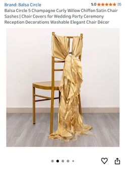 Balsa Circle Champagne Curly Willow Chiffon Satin Chair