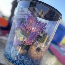 Small Fish Tank 