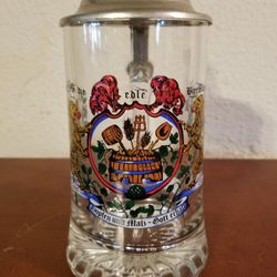 Vintage Domex Italy Germany Brewery Designed Glass Lidded Stein 