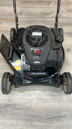 Briggs & Stratton (3087)