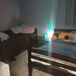 Brown,Bunk Beds Twin Size 