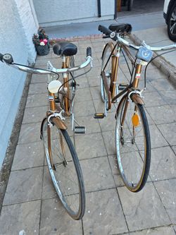 Vintage Panasonic Tourist bicycles with steel frames.
These matching bikes feature a bronze metallic finish, chrome handlebars, and original fenders.
