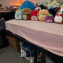 Twin Mattress with Frame