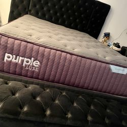 New King Purple Luxe Rejuvenate (Queen Available)