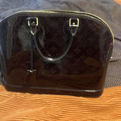 Louis Vuitton Purse Brand New 