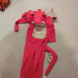 Halloween Costume Dragon