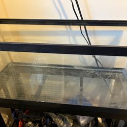 20 Gallon Long Fish Tank.