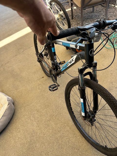 Mountain Bike Phoenix M 220 Guys Mountain Bike