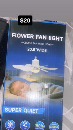 Fan light